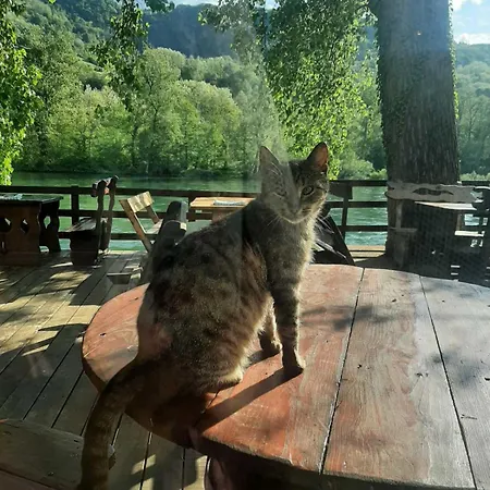 بيت للعطل Kutak Na Drini *